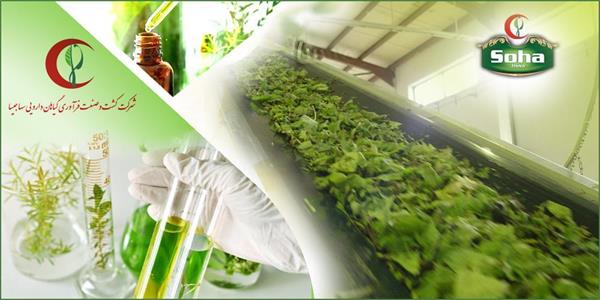 تولید ۱۰۷ هزار کیلوگرم انواع عصاره‌های گیاهی در هلال احمر طی ده ماه نخست سال ۱۴۰۴