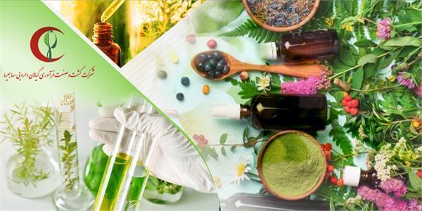 تولید صنعتی عصاره قارچ شیتاکه و گانودرما توسط هلال احمر برای تامین نیازهای دارویی کشور